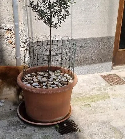 Lägenhet Apartment Nana 1 Šibenik