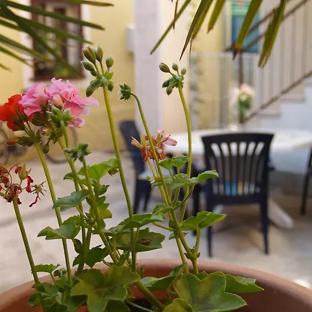 Apartment Nana 1 Lägenhet Šibenik