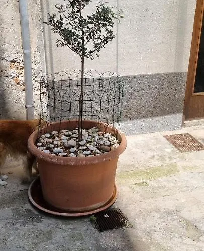 Lägenhet Apartment Nana 1 Šibenik